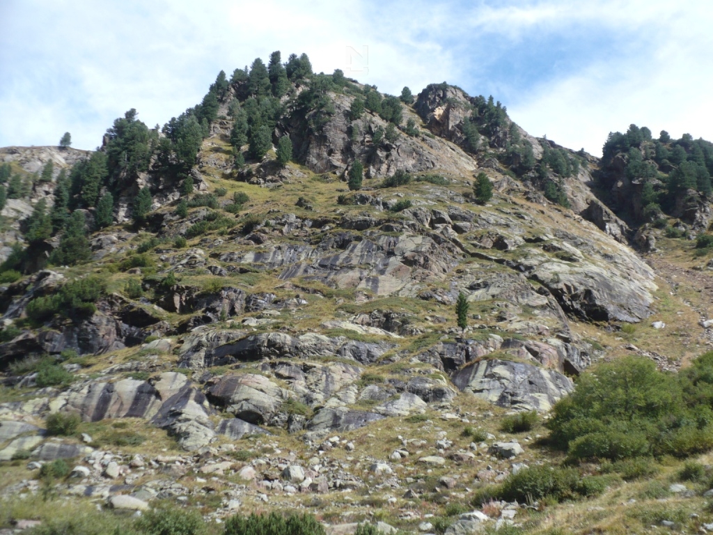 Images/2 Oesterreich_Pitztal_ (74).jpg